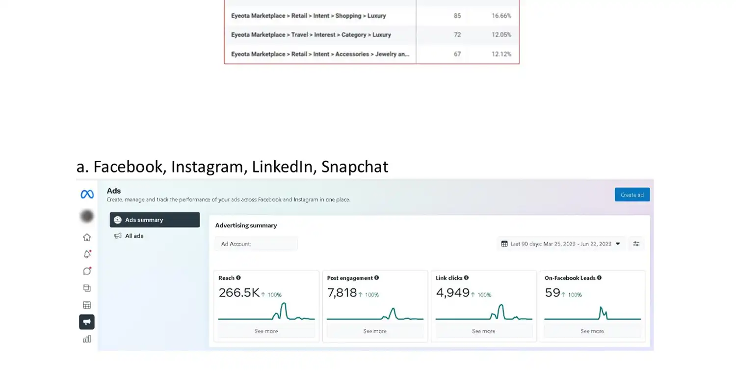 Meta Ads Optimization - Ad Performance
